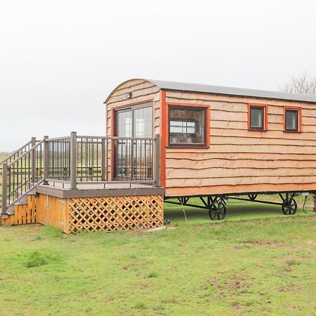 Tal Sarn Shepherd Hut Llanfairpwllgwyngyll Exterior foto
